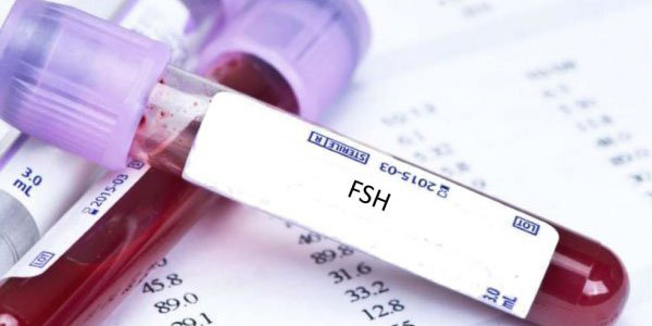 Những người có nhóm máu O thường có chỉ số FSH cao hơn phụ nữ nhóm máu A (Ảnh:Internet)